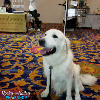 20190802_171134_800x600_450x600