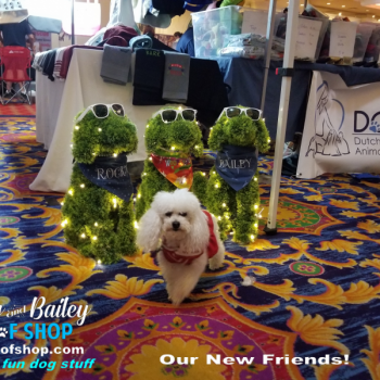 20190802_175355_800x600_800x600