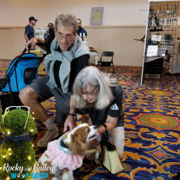 20190802_175616_800x600_450x600