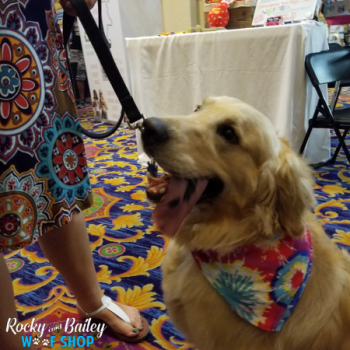 20190802_182627_800x600_450x600