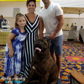 20190802_193908_800x600_450x600