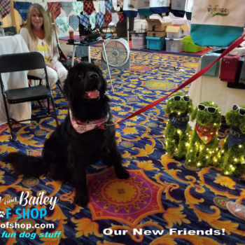 20190803_123807_800x600_800x600