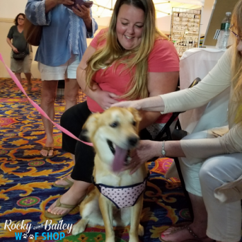 20190803_124437_800x600_450x600