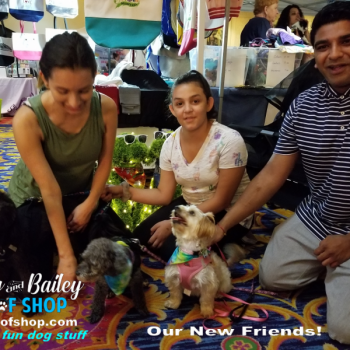 20190803_140228_800x600_800x600