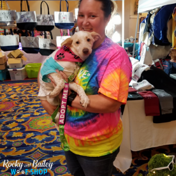 20190803_140804_800x600_450x600