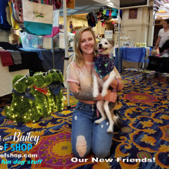 20190803_141546_800x600_800x600