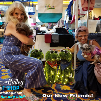 20190803_143514_800x600_800x600