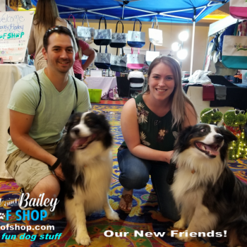 20190803_150807_800x600_800x600